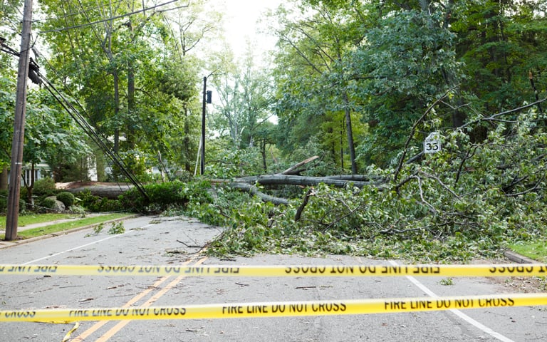 hurricane prep after the storm