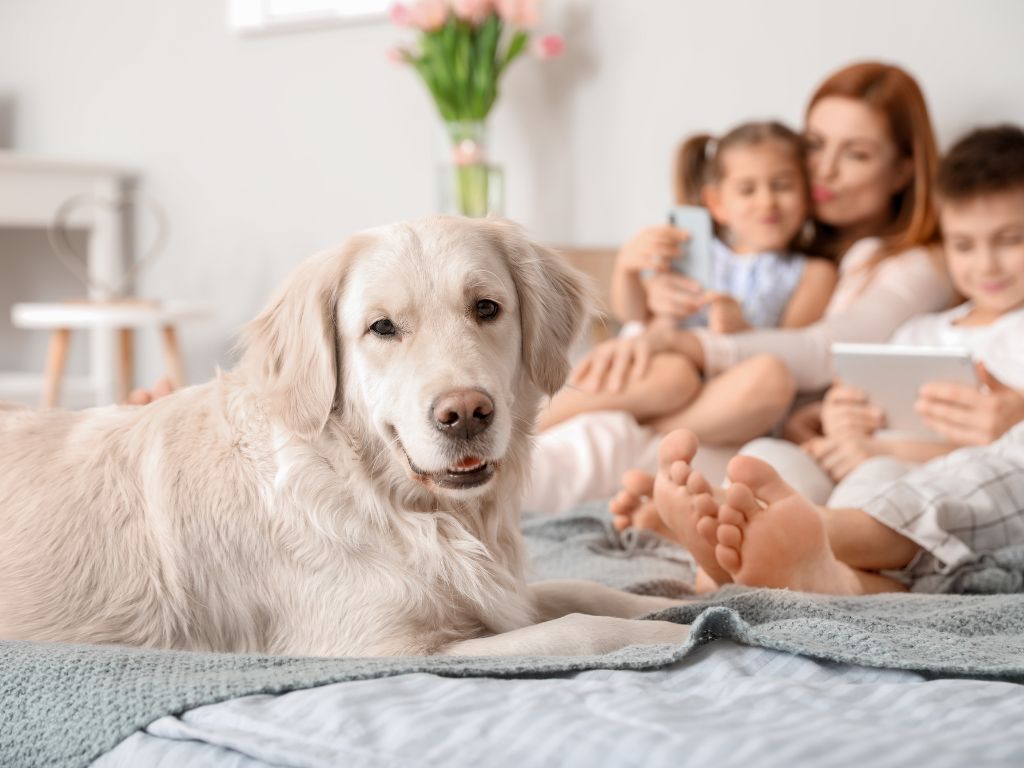 The Impact of Rising Energy Costs in Pensacola: Why Now Is the Time to Upgrade Your HVAC System 4 comfortable family with dog